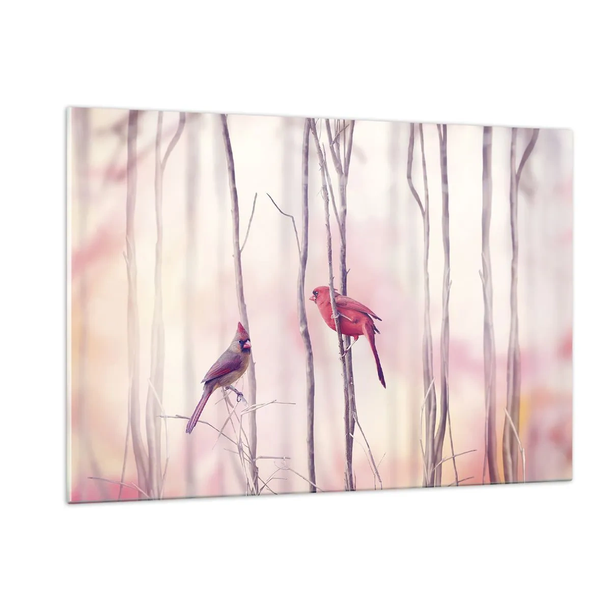 Impression sur verre - Image sur verre - Deux oiseaux parmi des brindilles délicates aux tons pastel - 120x80cm - Conte de la forêt rose - Décoration murale moderne pour le salon et la chambre ARTTOR