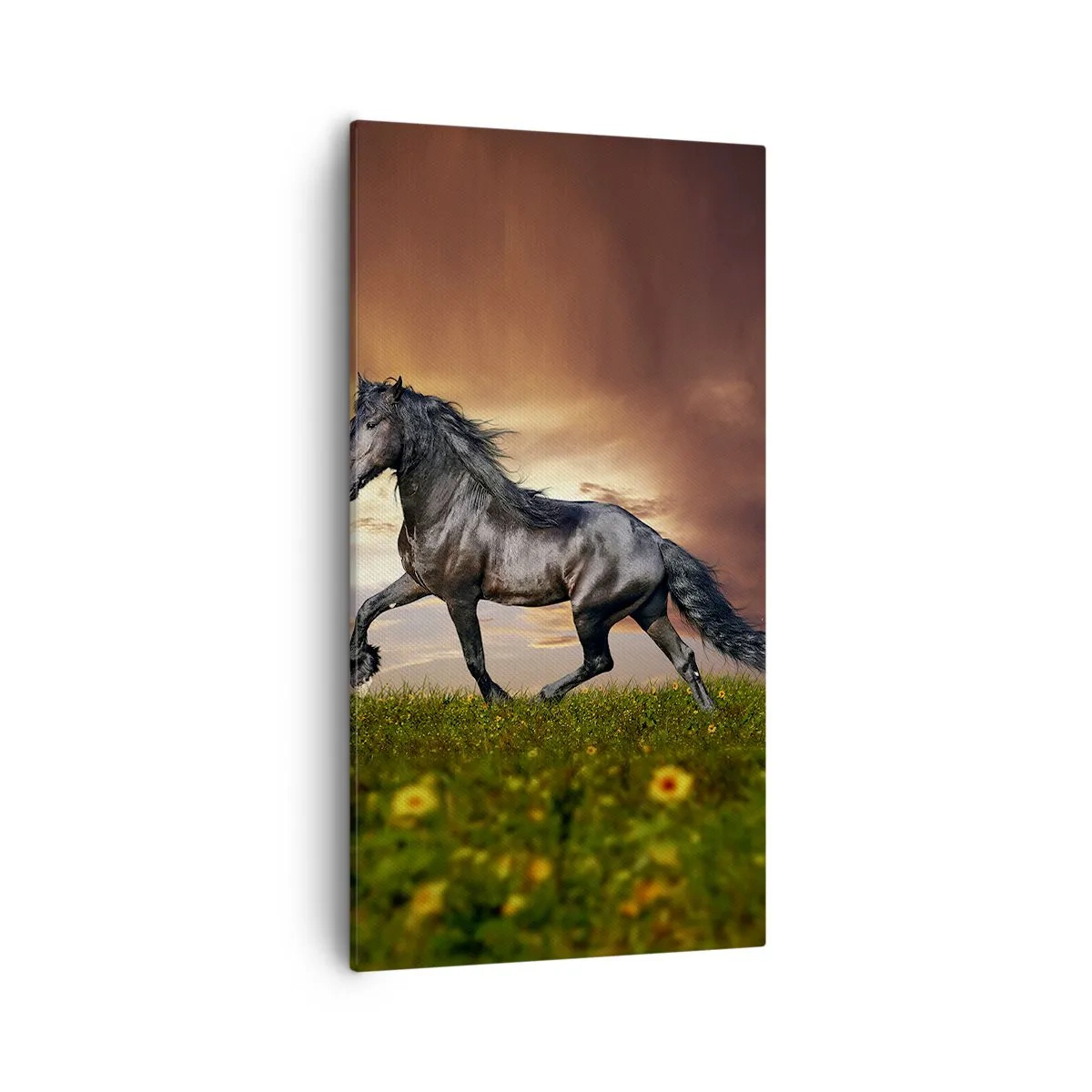 Impression sur toile - Image sur toile - Livres noirs - 55x100 cm