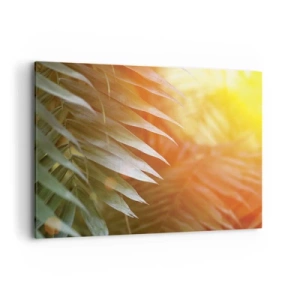 Impression sur toile - Image sur toile - Feuilles de palmier dans les rayons du soleil couchant - 100x70cm - Matinée dans la jungle - Décoration murale moderne pour le salon et la chambre ARTTOR