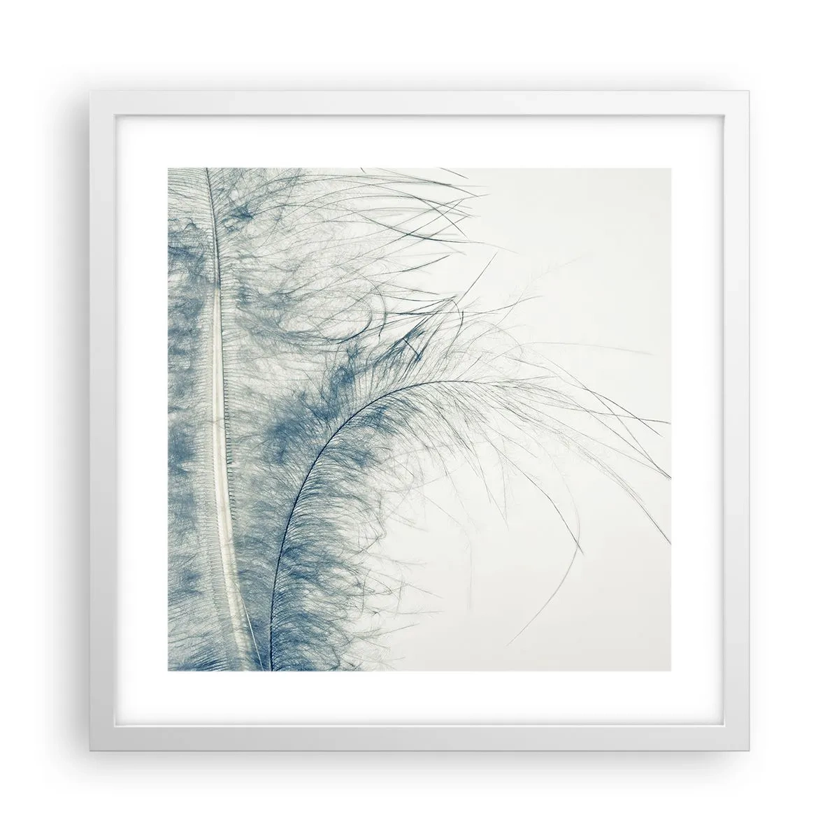 Affiche dans un cadre blanc - Poster - Les sept natures - 40x40 cm