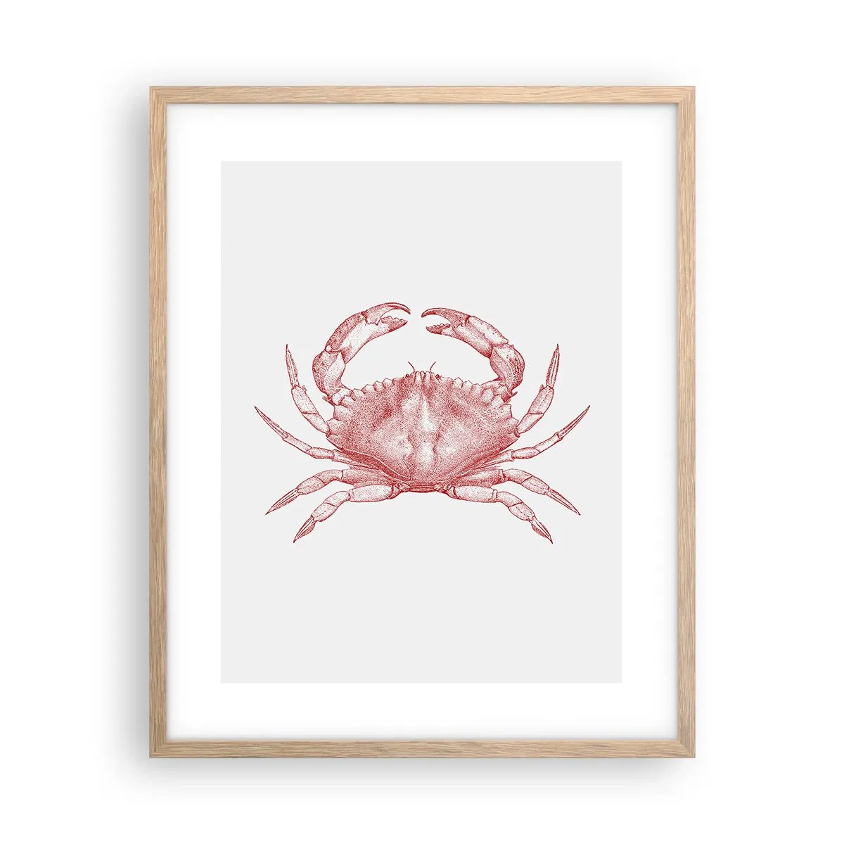 Affiche dans un chêne clair - Poster - Le crabe des crabes - 40x50 cm
