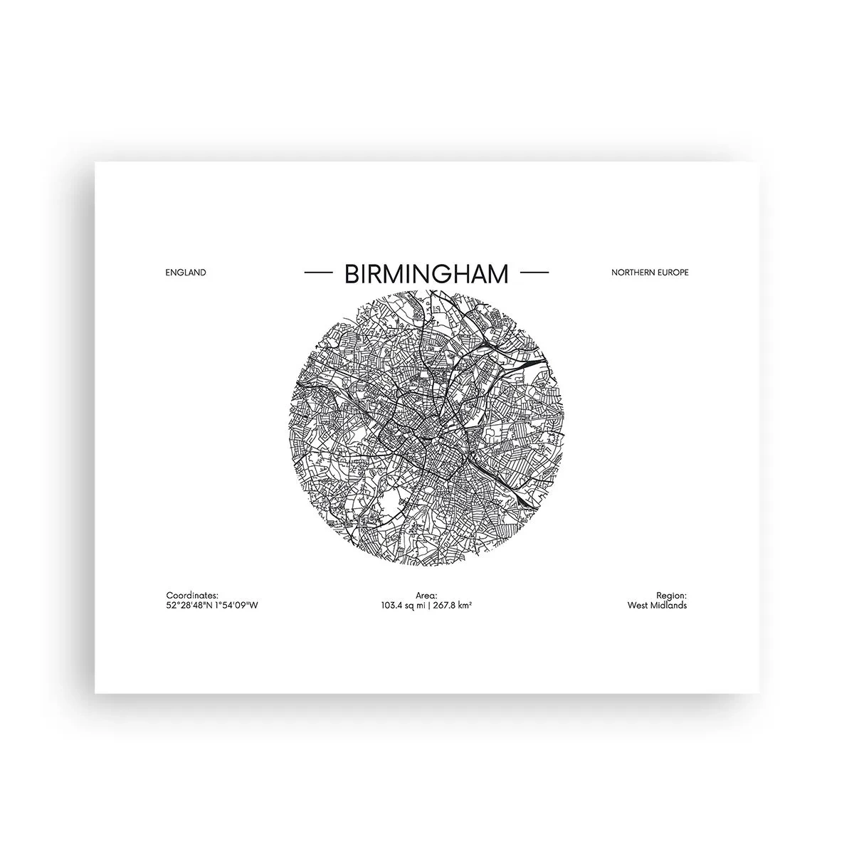 Affiche - Poster - Anatomie de Birmingham - 50x40 cm