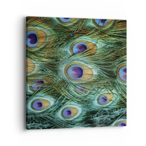 Impression sur toile - Image sur toile - Un regard de paon - 40x40 cm