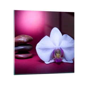 Impression sur verre - Image sur verre - Une étude de fraîcheur en violet - 40x40 cm