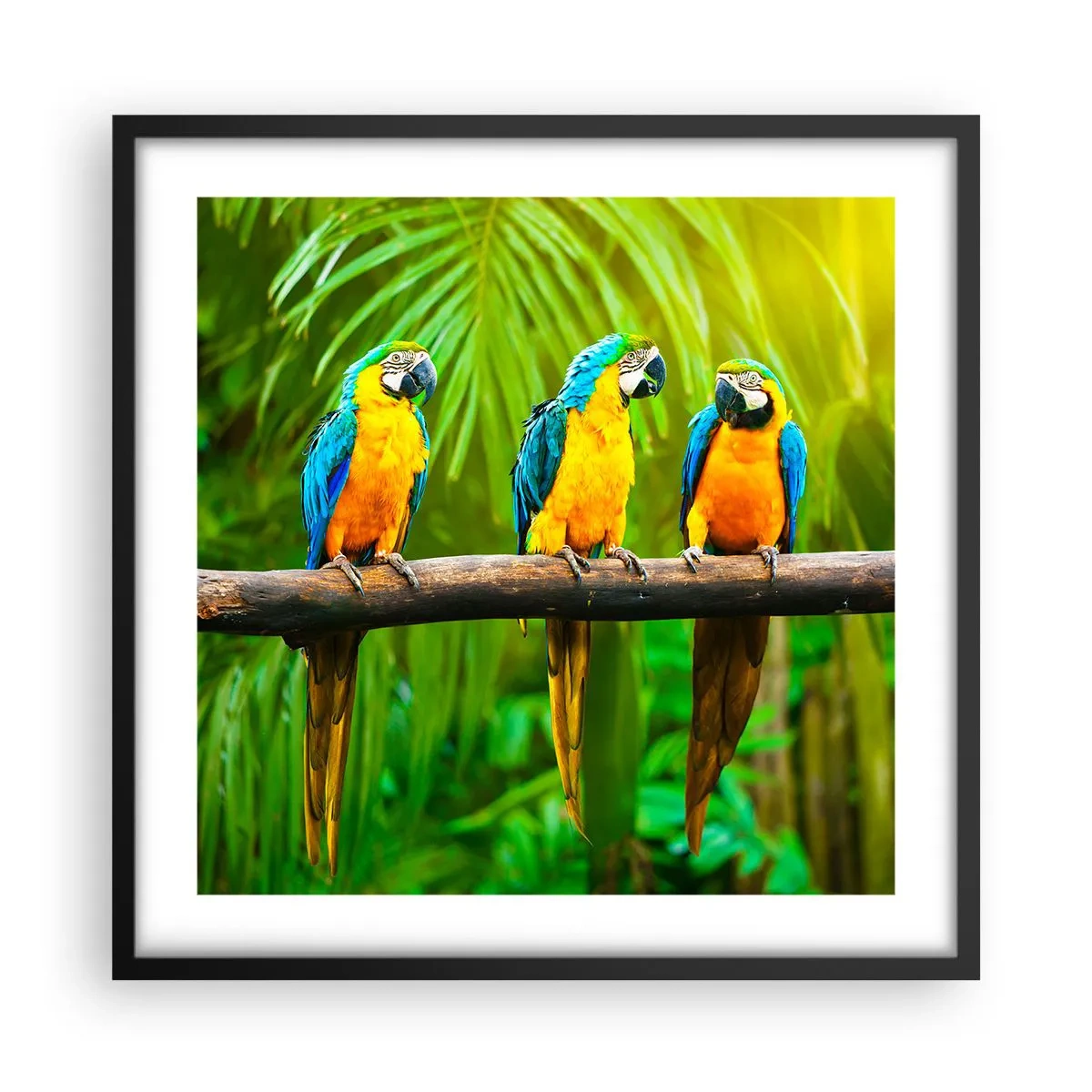 Affiche dans un cadre noir - Poster - Et avez-vous entendu qu'elle ...? - 50x50 cm