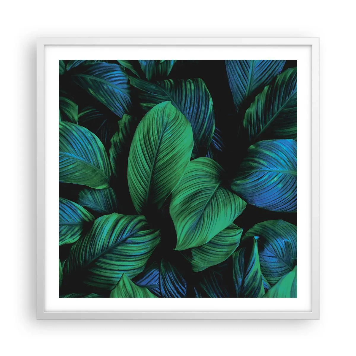 Affiche dans un cadre blanc - Poster - Dans la foule verte - 60x60 cm