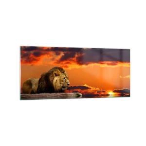 Impression sur verre - Image sur verre - Un lion se repose au bord de l'eau au coucher du soleil avec un ciel dramatique. - 120x50cm - Le roi de la nature - Décoration murale moderne pour le salon et la chambre ARTTOR