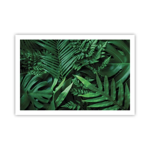 Affiche - Poster - Emmitouflé de verdure - 91x61 cm