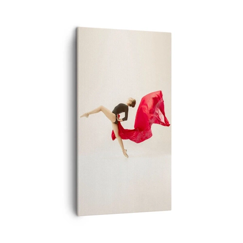 Impression sur toile - Image sur toile - Rouge et noir - 45x80 cm