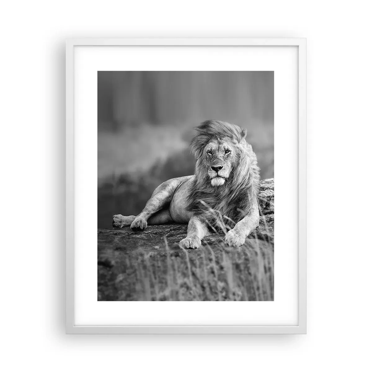 Affiche dans un cadre blanc - Poster - Sieste royale - 40x50 cm