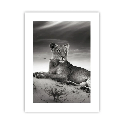 Affiche - Poster - La reine du désert reste - 30x40 cm