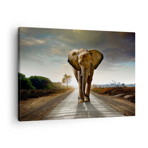 Impression sur toile - Image sur toile - Un éléphant marchant le long d'une route à travers un paysage au coucher du soleil - 70x50cm - Et pas du tout en porcelaine - Décoration murale moderne pour le salon et la chambre ARTTOR