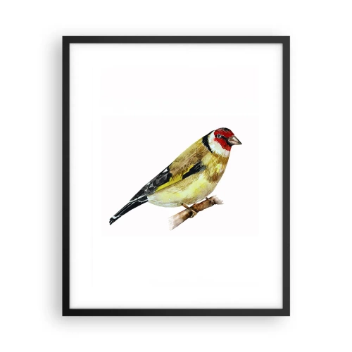 Affiche dans un cadre noir - Poster - Portrait d'oiseau - 40x50 cm