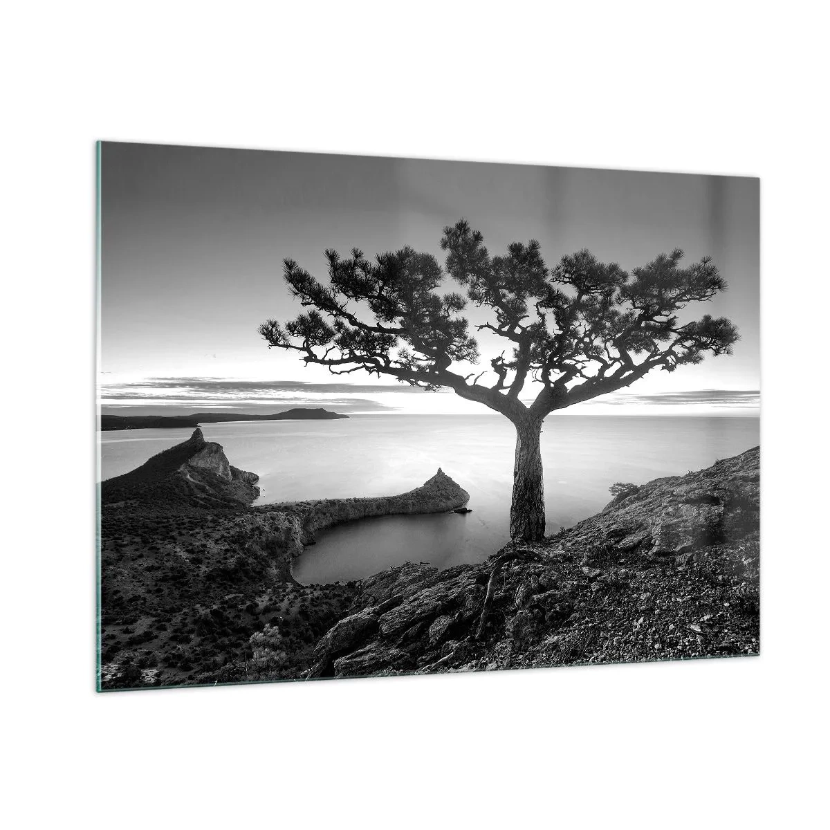 Impression sur verre - Image sur verre - Un arbre sur une falaise surplombant la baie - 100x70cm - Paix jusqu'à l'horizon - Décoration murale moderne pour le salon et la chambre ARTTOR