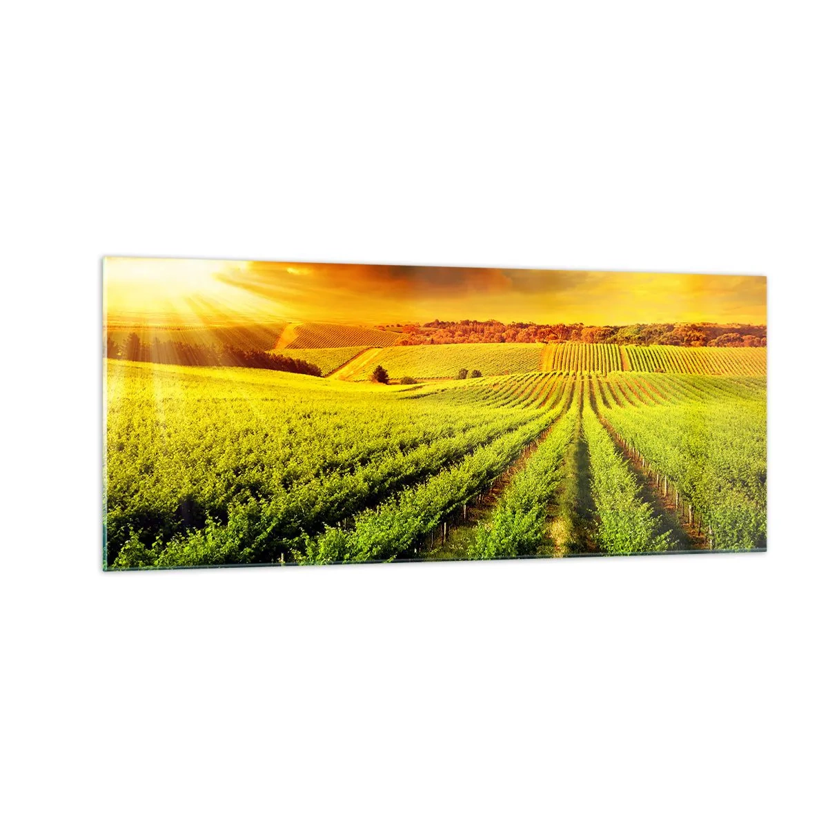 Impression sur verre - Image sur verre - Sous le soleil australien - 100x40 cm