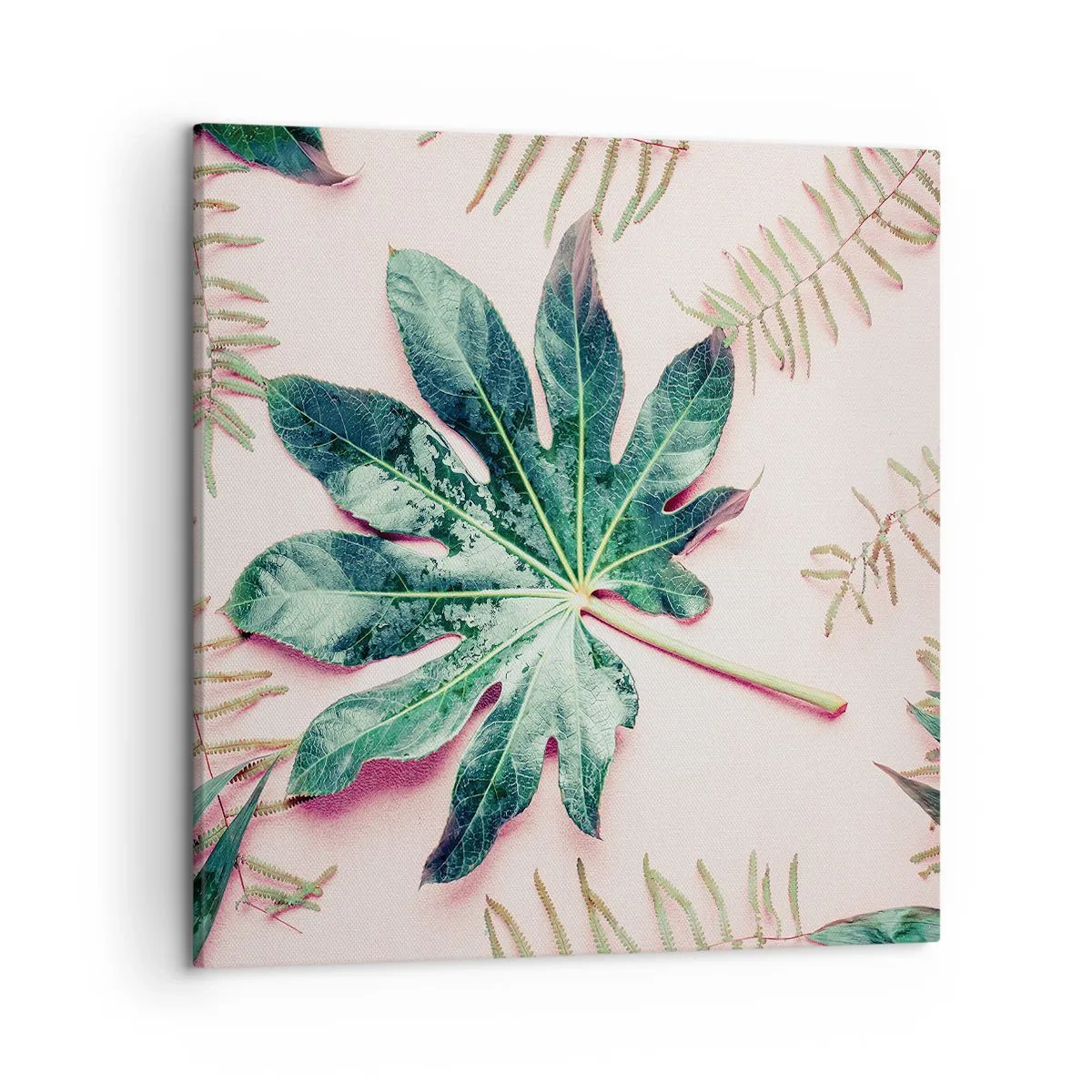 Impression sur toile - Image sur toile - Étude de verdure sur fond rose - 50x50 cm