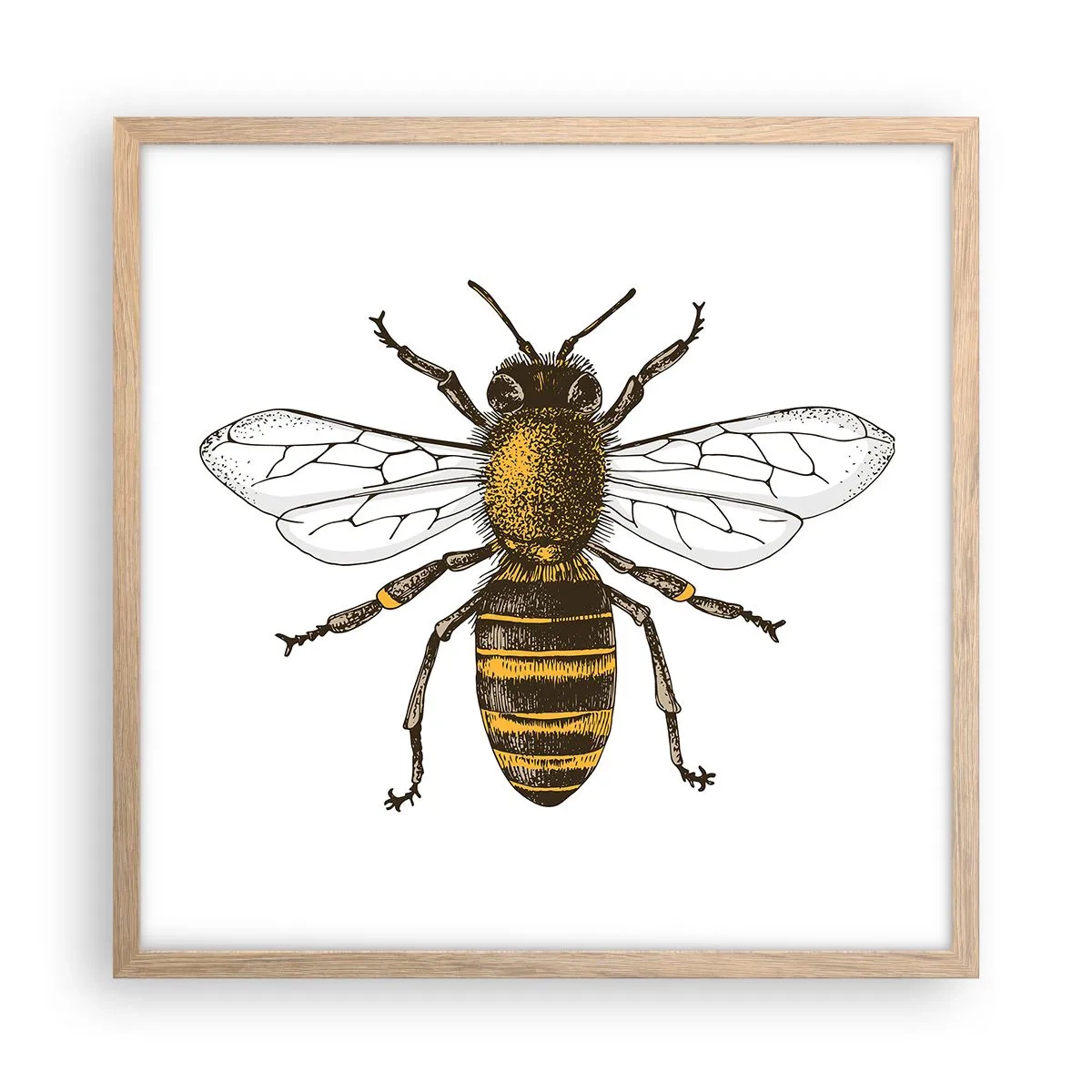 Affiche dans un chêne clair - Poster - Belle et bonne - 50x50 cm