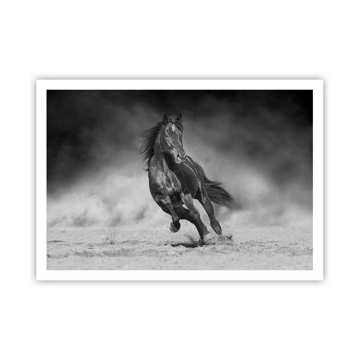 Affiche - Poster - Un cheval noir et blanc galopant sur le sable - 100x70cm - Digne de l'émir lui-même - Décoration murale moderne pour le salon et la chambre ARTTOR