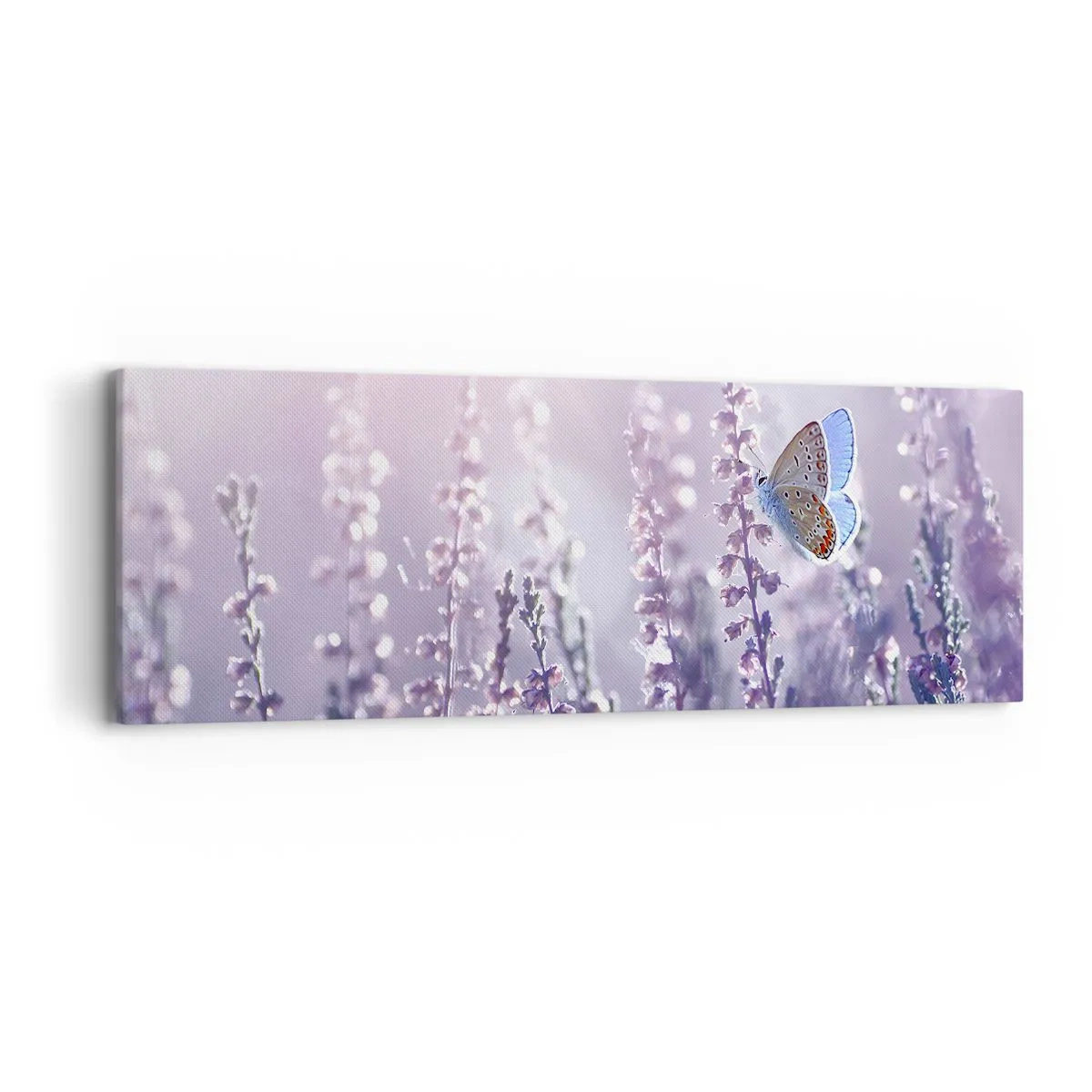 Impression sur toile - Image sur toile - Baiser de papillon - 90x30 cm