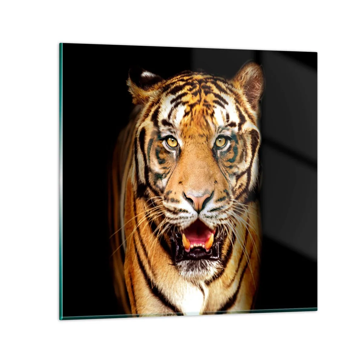 Impression sur verre - Image sur verre - Le coeur sauvageon - 30x30 cm