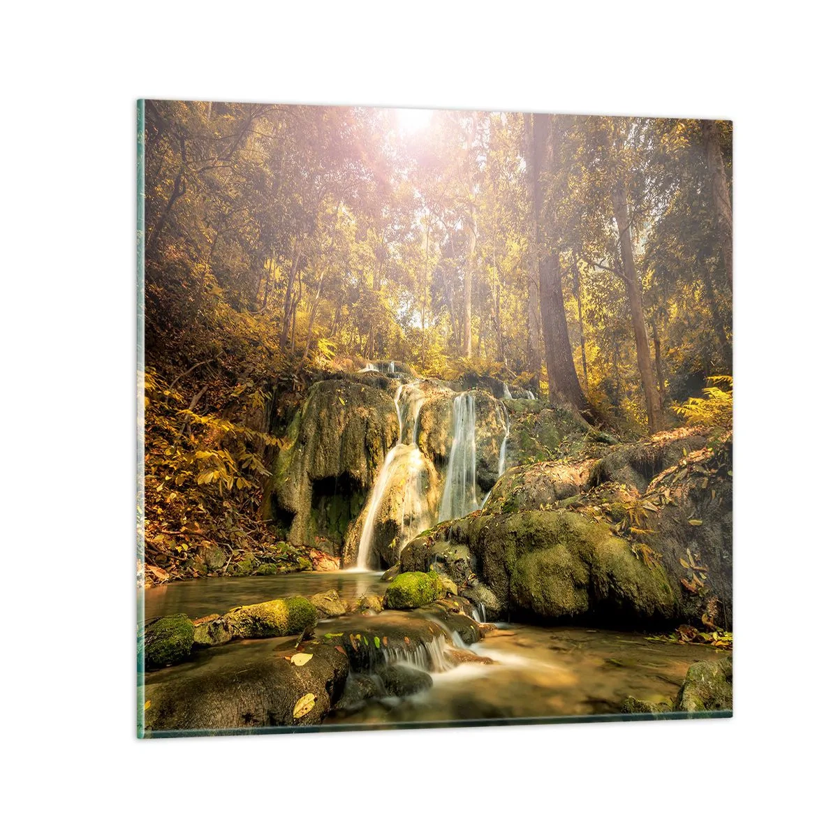 Impression sur verre - Image sur verre - Cascade de forêt en vert - 60x60 cm
