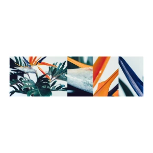 Échantillon de Papier Peint Autocollant Deluxe Sticker - Le buisson oiseaux - Plantes, Bohème, Exotique - 100x30 cm