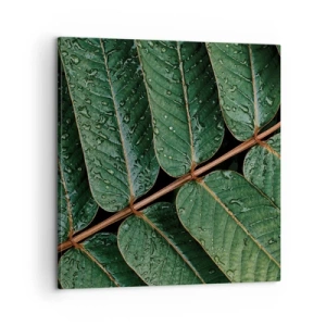 Impression sur toile - Image sur toile - Au rythme de la verdure - 60x60 cm