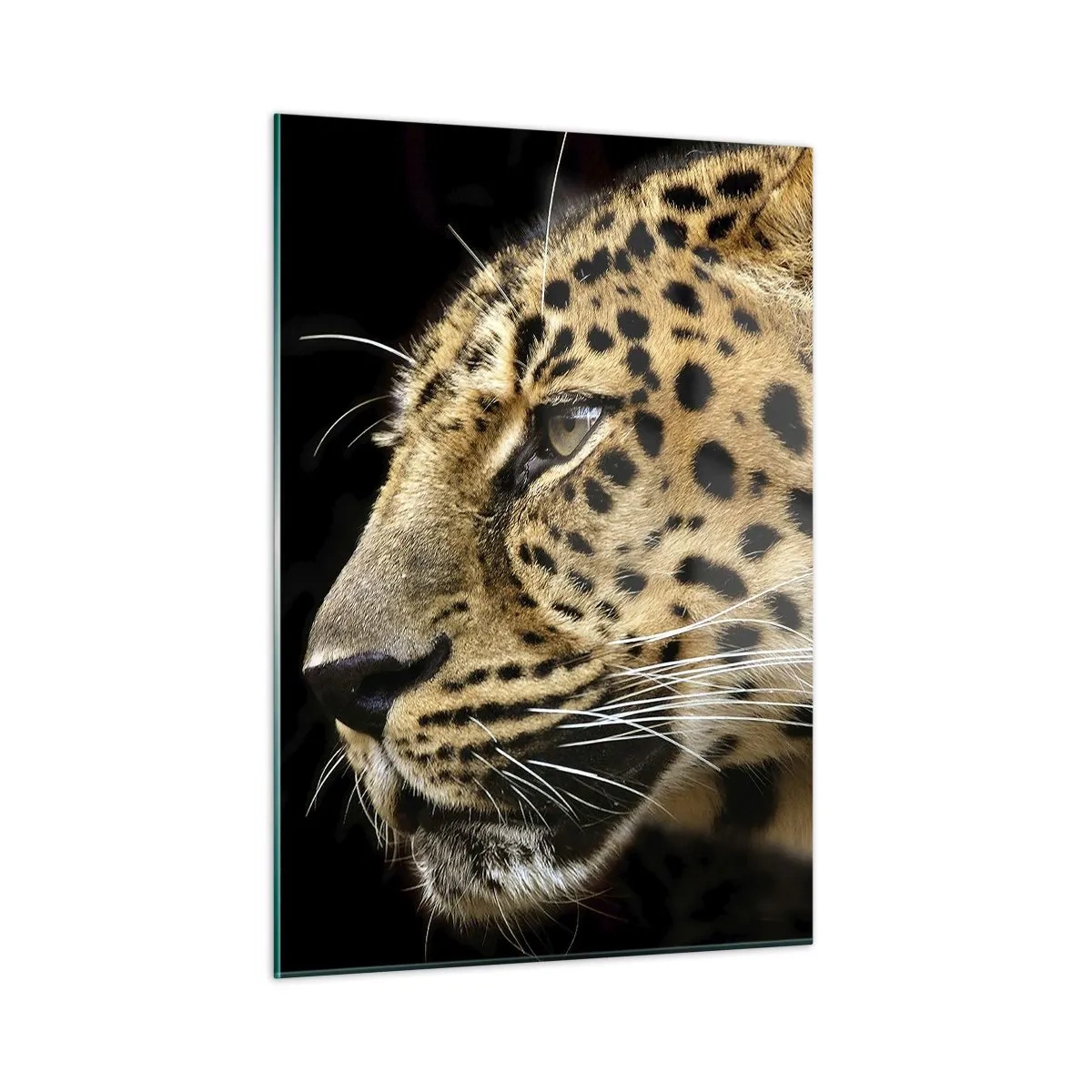 Impression sur verre - Image sur verre - Profil d'un léopard sur fond noir - 50x70cm - Calme, concentré, prêt - Décoration murale moderne pour le salon et la chambre ARTTOR