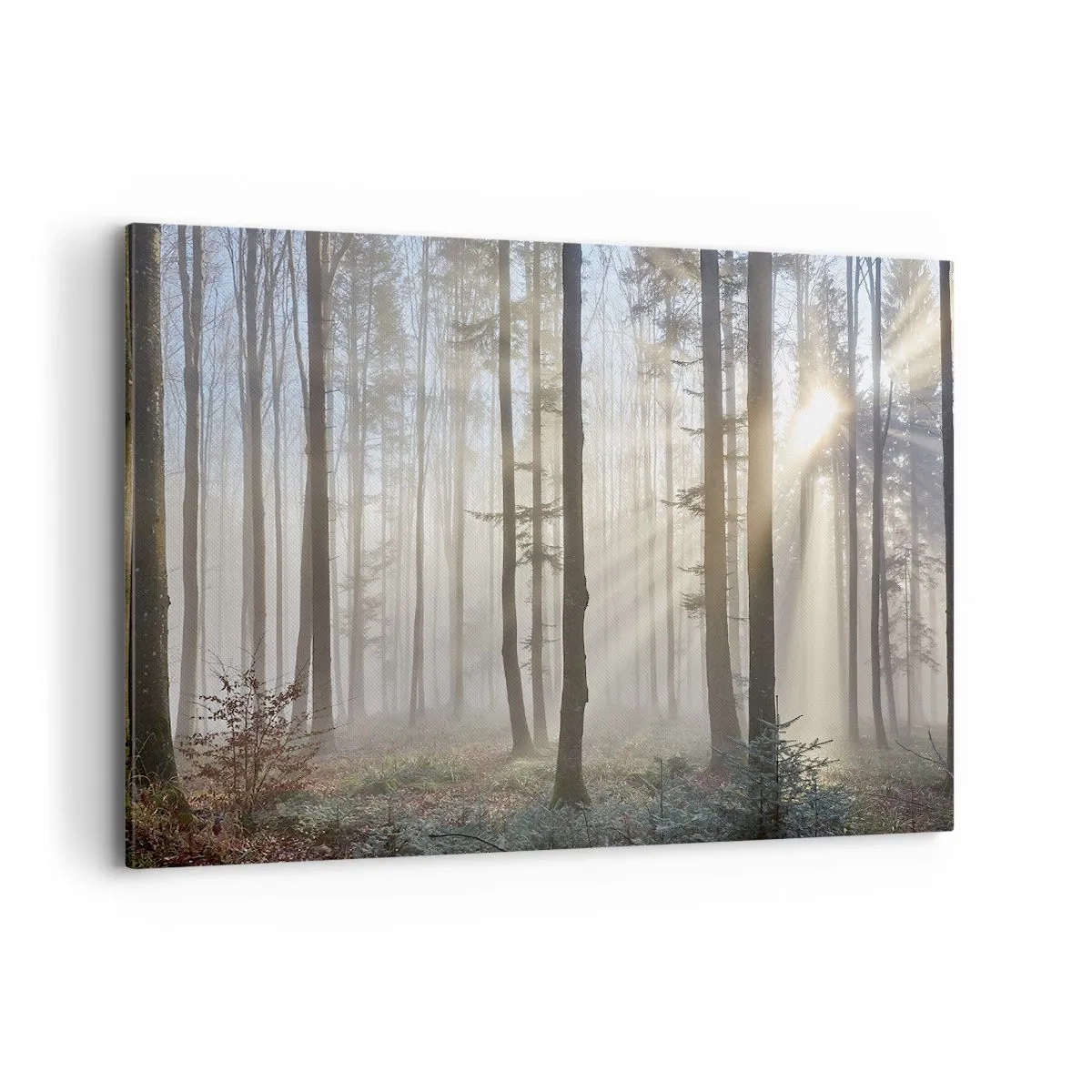 Impression sur toile - Image sur toile - Une forêt dans un léger brouillard avec des rayons de soleil qui brillent à travers les arbres - 120x80cm - Le brouillard s'est aussi réveillé - Décoration murale moderne pour le salon et la chambre ARTTOR