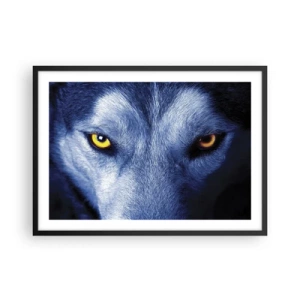 Affiche dans un cadre noir - Poster - Gros plan du regard intense d'un loup sur un fond sombre - 70x50cm - Regars hypnotique - Décoration murale moderne pour le salon et la chambre ARTTOR