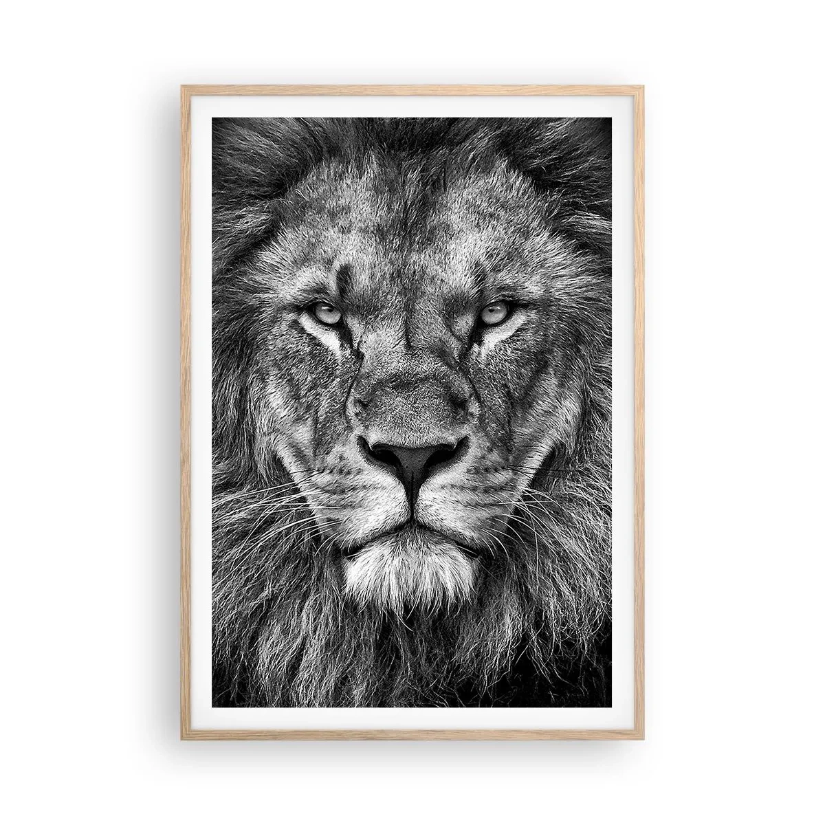 Affiche dans un chêne clair - Poster - En vêtement de sacre - 70x100 cm