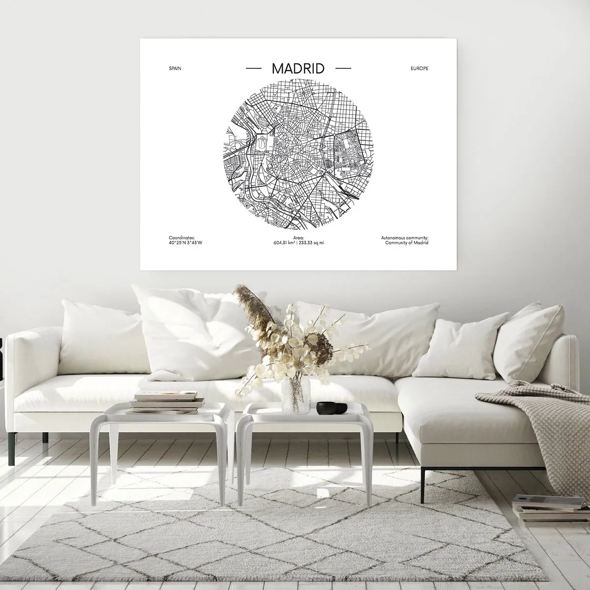 Affiche - Poster - Anatomie de Madrid - 91x61 cm
