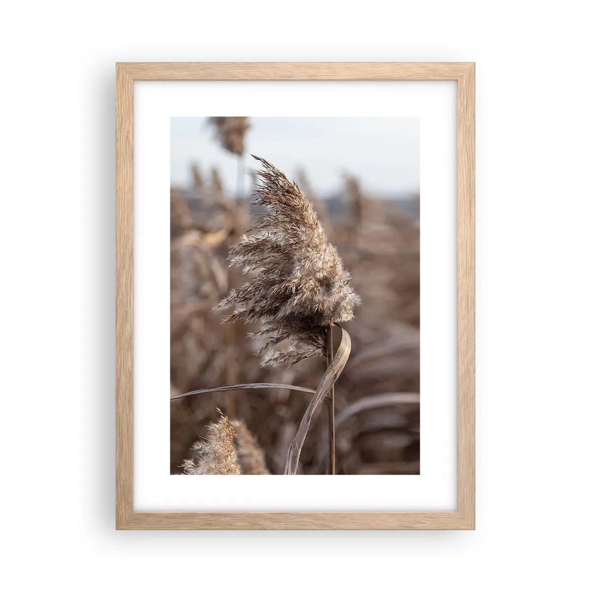 Affiche dans un chêne clair - Poster - Il est temps de s'envoler avec le vent - 30x40 cm