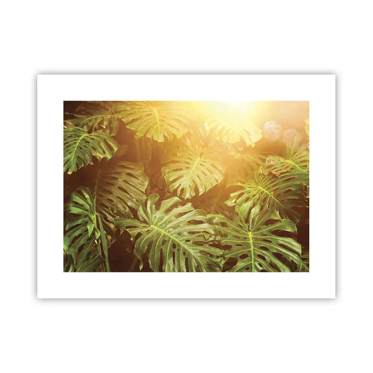Affiche - Poster - Se fondre dans la verdure - 40x30 cm