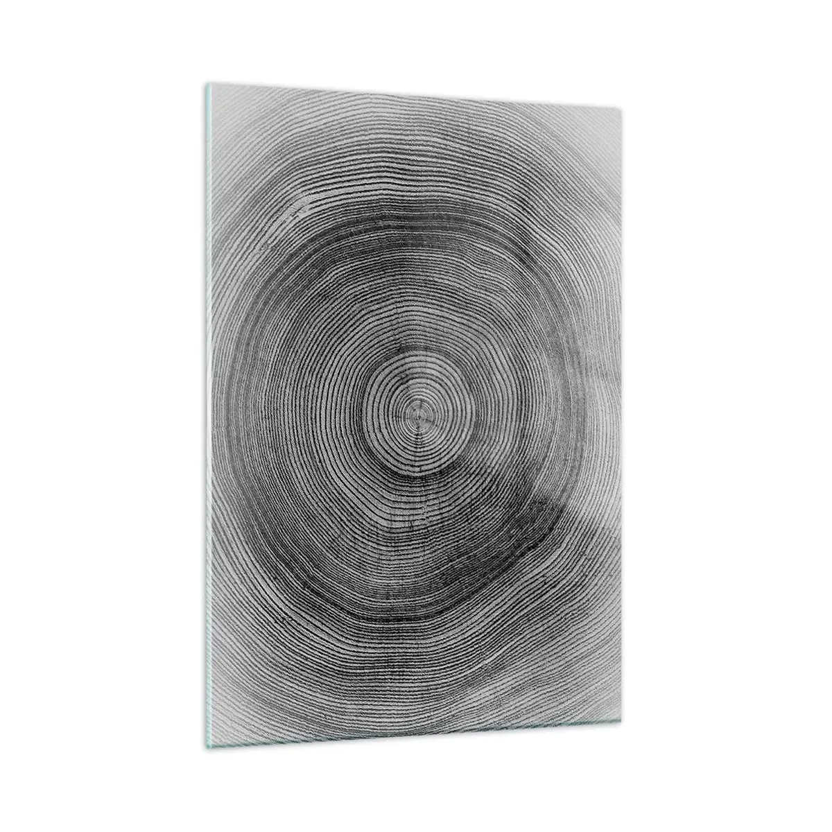 Impression sur verre - Image sur verre - Lignes concentriques d'anneaux d'arbres présentées dans une esthétique en noir et blanc - 50x70cm - Signe du temps - Décoration murale moderne pour le salon et la chambre ARTTOR