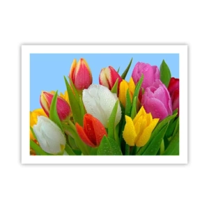 Affiche - Poster - Un arc-en-ciel fleuri en gouttes de rosée - 70x50 cm