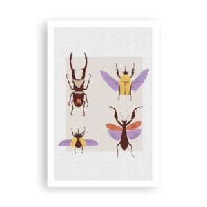 Affiche - Poster - Le monde des insectes - 61x91 cm