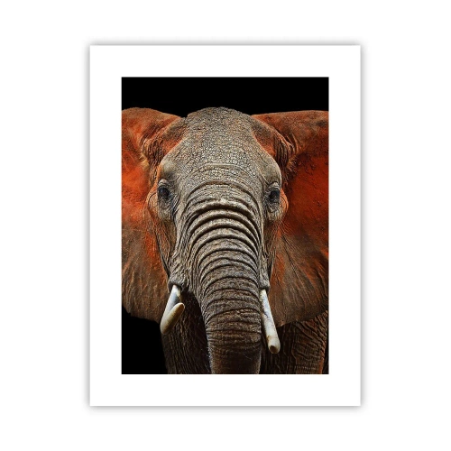 Affiche - Poster - Je suis sauvage, et toi? - 30x40 cm