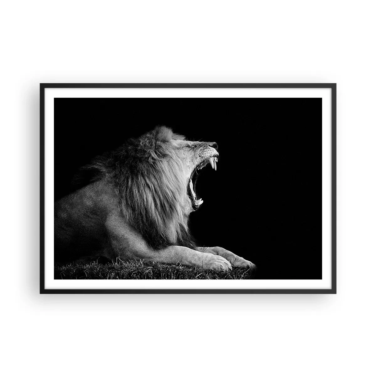 Affiche dans un cadre noir - Poster - Un lion rugissant sur fond noir dans des tons noir et blanc - 100x70cm - Sans aucun doute - Décoration murale moderne pour le salon et la chambre ARTTOR