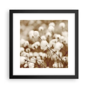 Affiche dans un cadre noir - Poster - Tige moelleuse - 30x30 cm