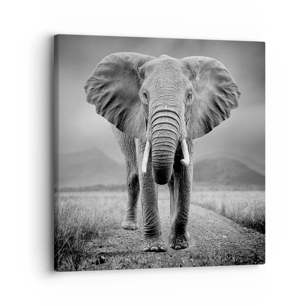 Impression sur toile - Image sur toile - Les hôtes vous saluent - 30x30 cm