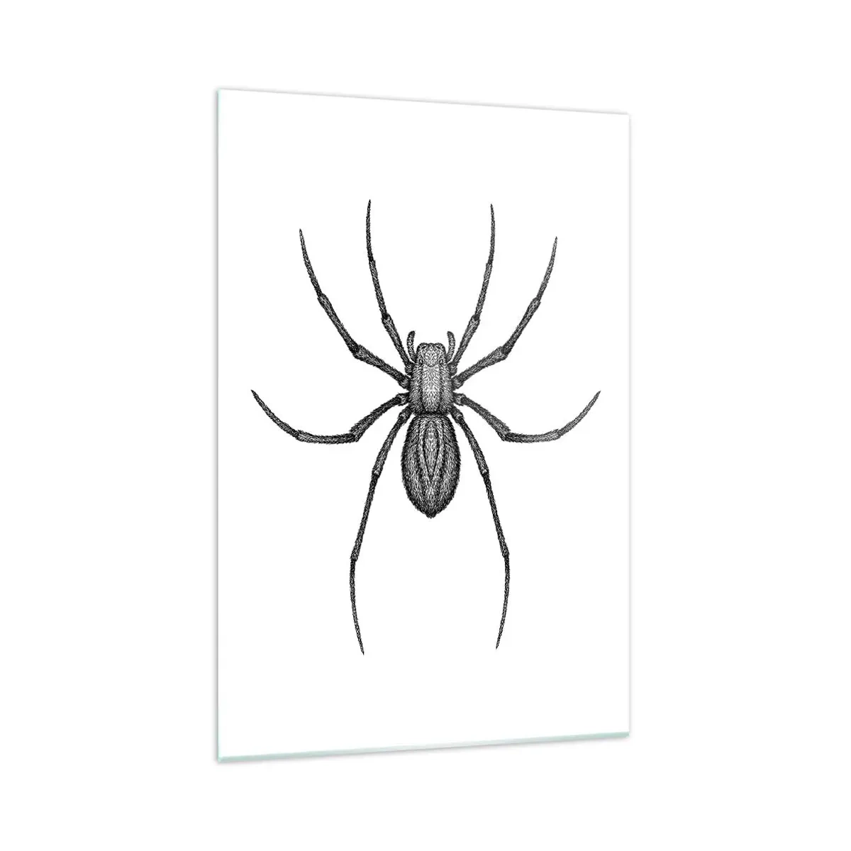 Impression sur verre - Image sur verre - Détail d'une araignée sur fond blanc dans un style dessin animé - 70x100cm - Une précision troublante - Décoration murale moderne pour le salon et la chambre ARTTOR