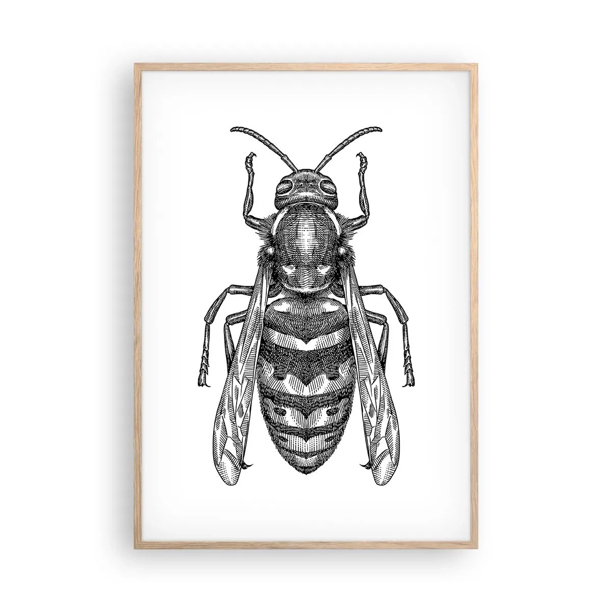 Affiche dans un chêne clair - Poster - D'une planète d'insectes - 70x100 cm