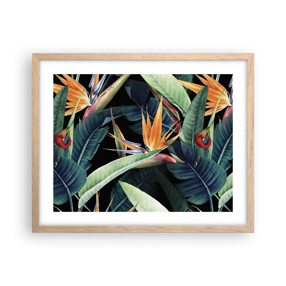 Affiche dans un chêne clair - Poster - Fleurs flamboyantes des tropiques - 50x40 cm