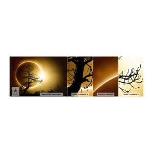 Échantillon De Papier Peint Standard Eco - Éclipse totale - Éclipse, Arbre, Paysage - 100x30 cm