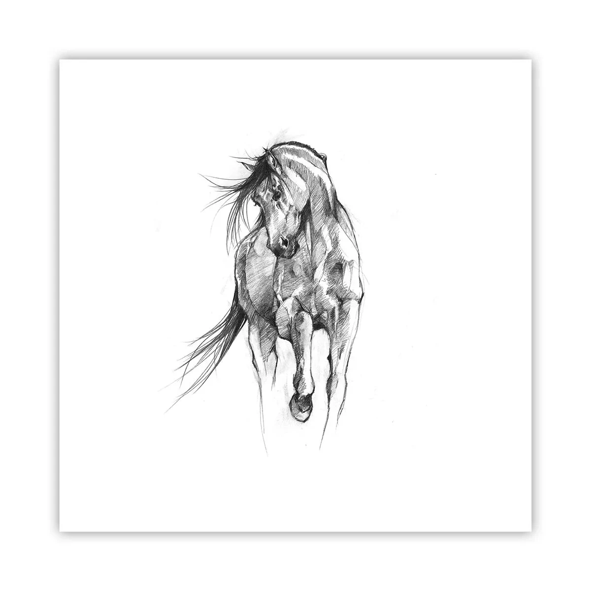 Affiche - Poster - D'un trot gracieux - 30x30 cm