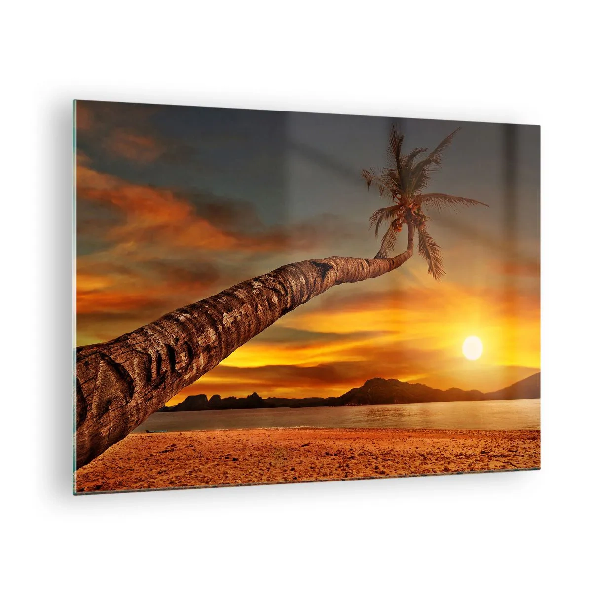 Impression sur verre - Image sur verre - Palmier sur une plage tropicale au coucher du soleil - 70x50cm - Vacances exotiques, aventure caribéenne - Décoration murale moderne pour le salon et la chambre ARTTOR