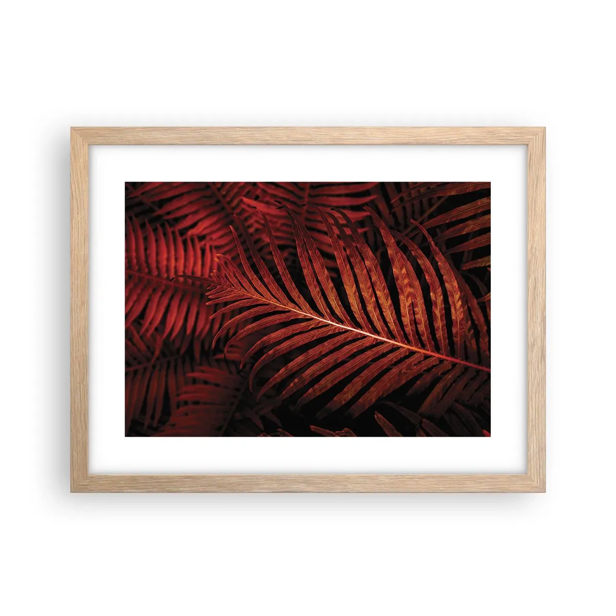 Affiche dans un chêne clair - Poster - Chaleur de la vie - 40x30 cm