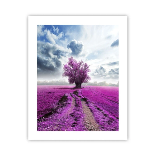 Affiche - Poster - Lande - nature sauvage - 40x50 cm