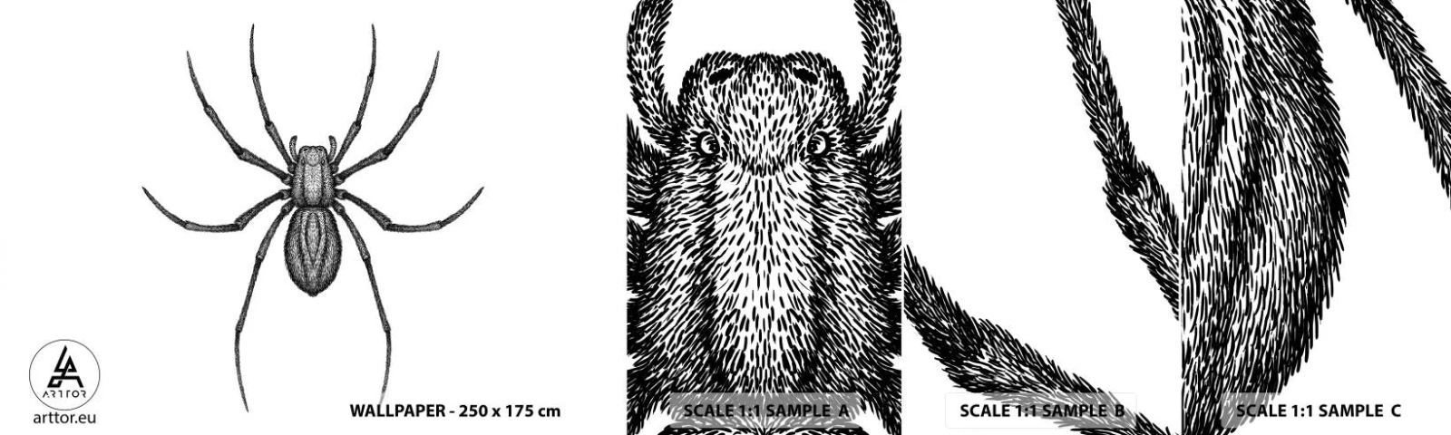 Échantillon de Papier Peint Autocollant Deluxe Sticker - Une précision troublante - Araignée, Insecte, Minimaliste - 100x30 cm